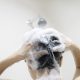 shampoo capelli